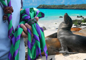 ¿SCOUTS EN GALÁPAGOS?