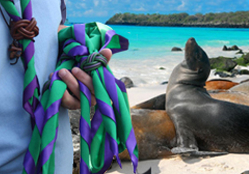¿SCOUTS EN GALÁPAGOS?