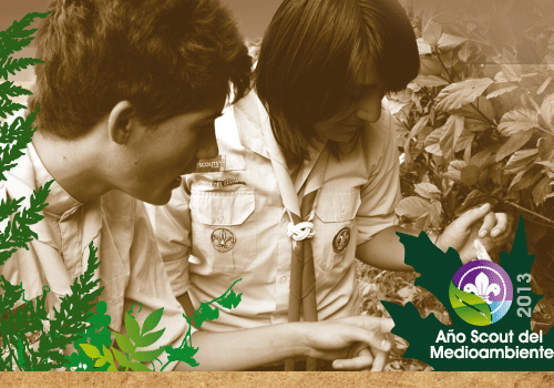 2013 año del Medio Ambiente