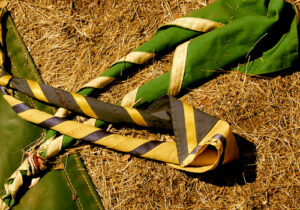 PAÑOLETA SCOUT