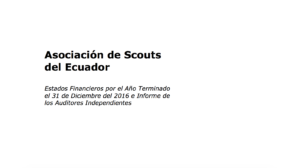 INFORME DE LOS AUDITORES INDEPENDIENTES