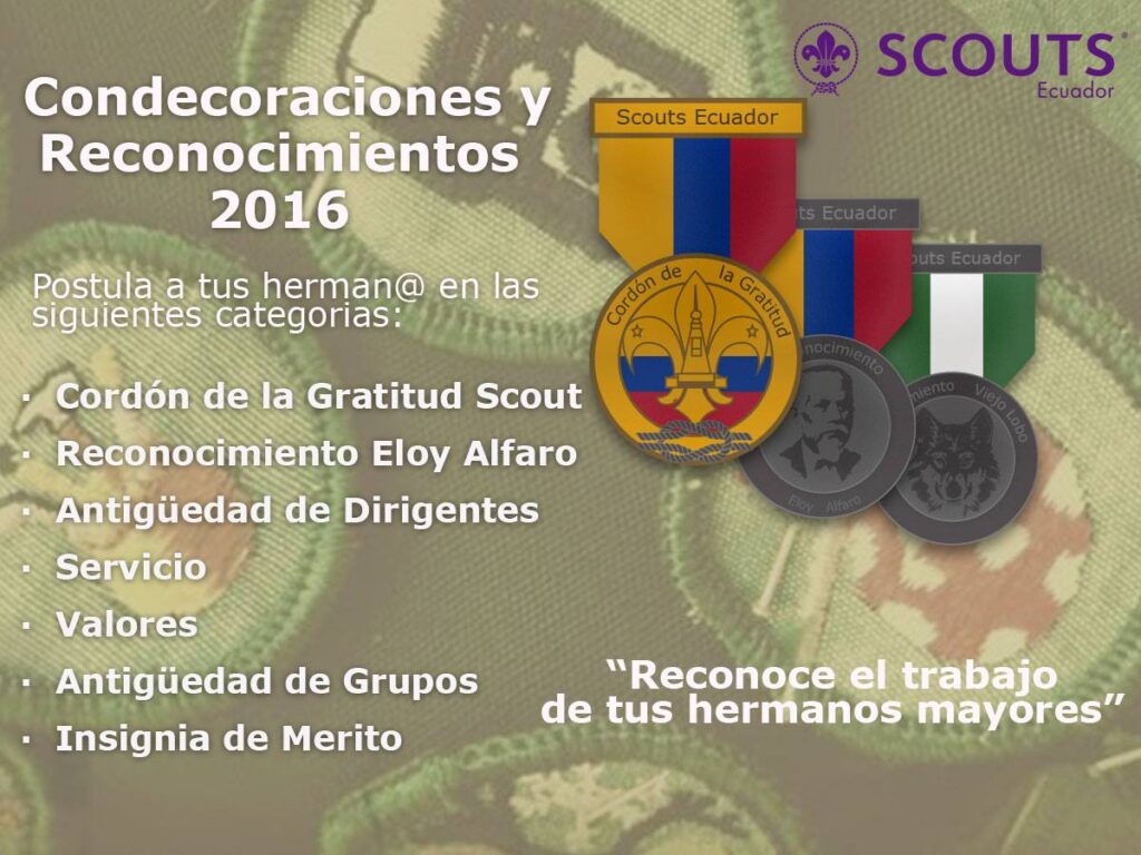 Postulaciones para ´Scouts y Dirigentes Destacados a Nivel Nacional´