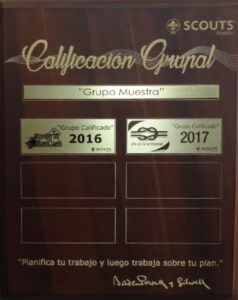 proceso de Calificación Grupal 2017
