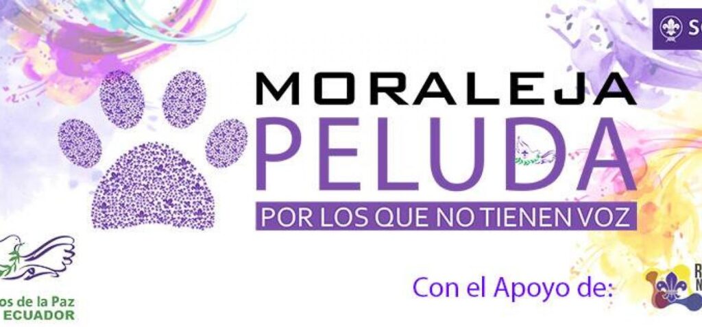 Moraleja Peluda 2017, Proyecto de Mensajeros de la Paz
