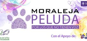 Moraleja Peluda 2017, Proyecto de Mensajeros de la Paz