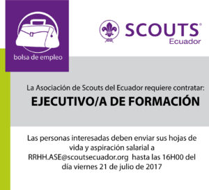 Ejecutivo(a) de Formación
