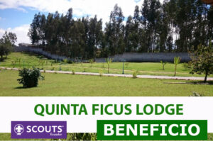 FICUS 1