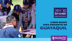 curso basico
