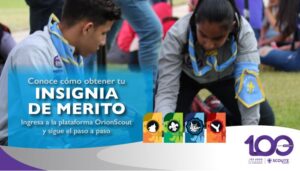 Insignia del Mérito 2020