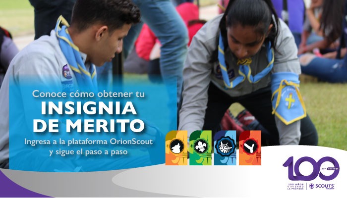 Insignia del Mérito 2020