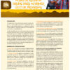 1 Fichas Scout Amarillas