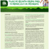 2 Fichas Scout Verdes
