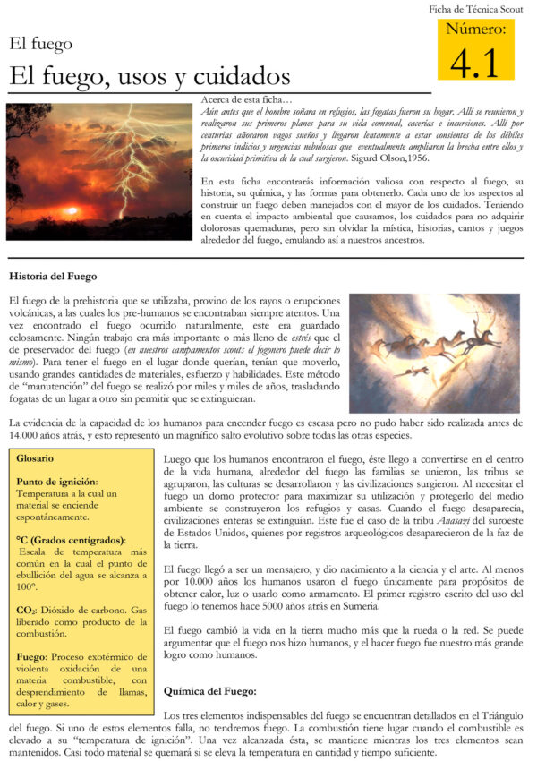 4.1 El fuego usos y cuidados