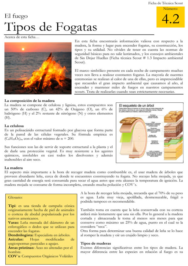 4.2 Tipos de Fogatas