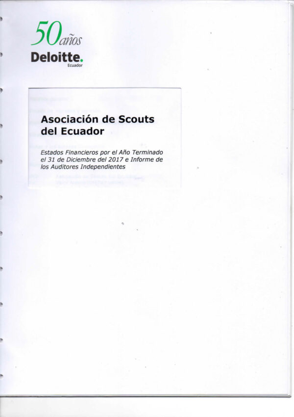 Balance auditado 2017