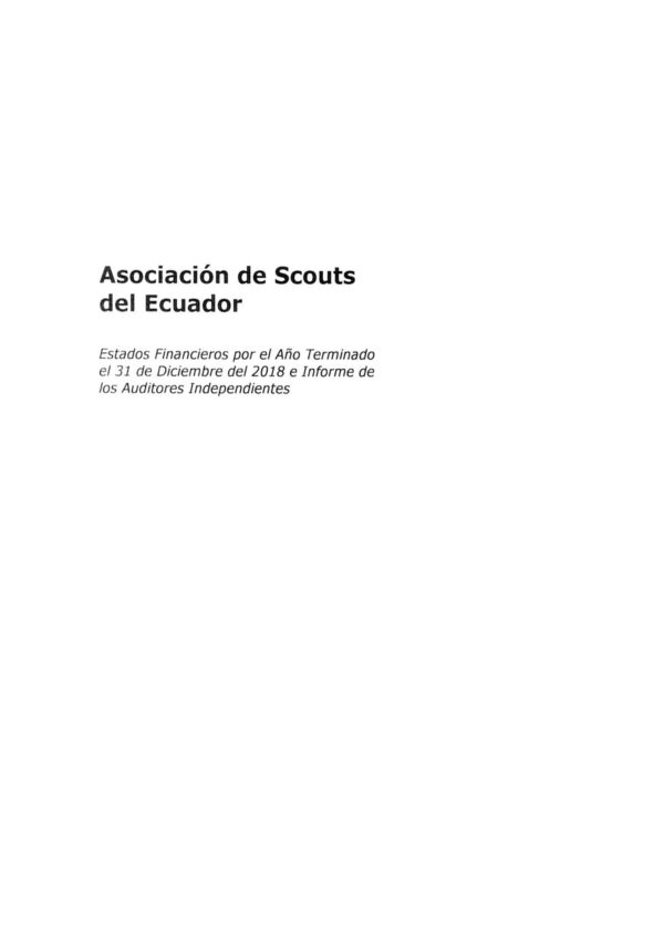 Balance auditado 2018