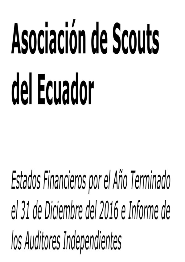 Informe Auditoria Asamblea 2017