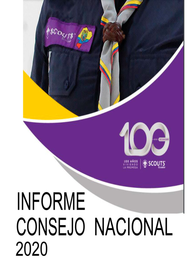 Informe CNS Periodo 2020