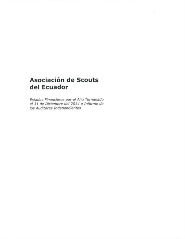 InformeAuditoria 2014