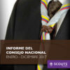 InformeConsejoNacionalAsamblea2018