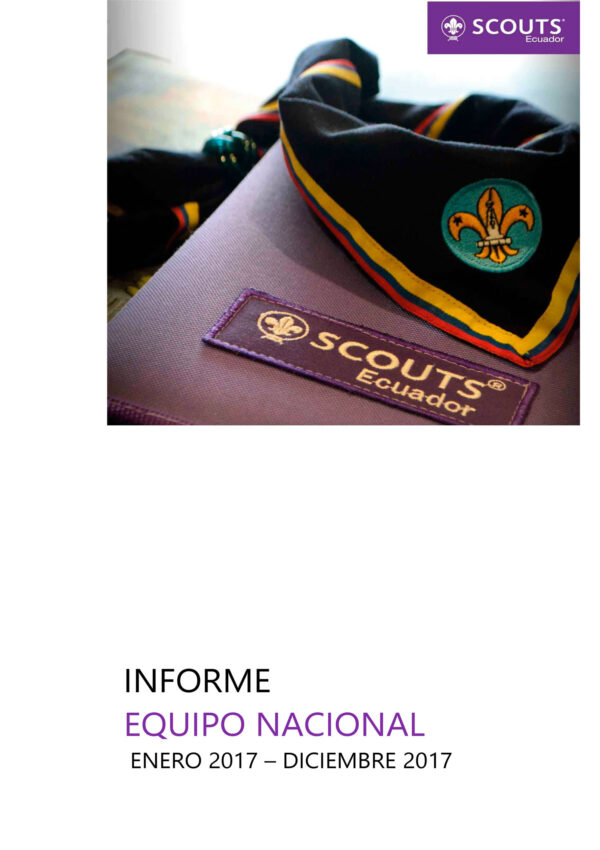 InformeEquipo NacionalAsamblea2018