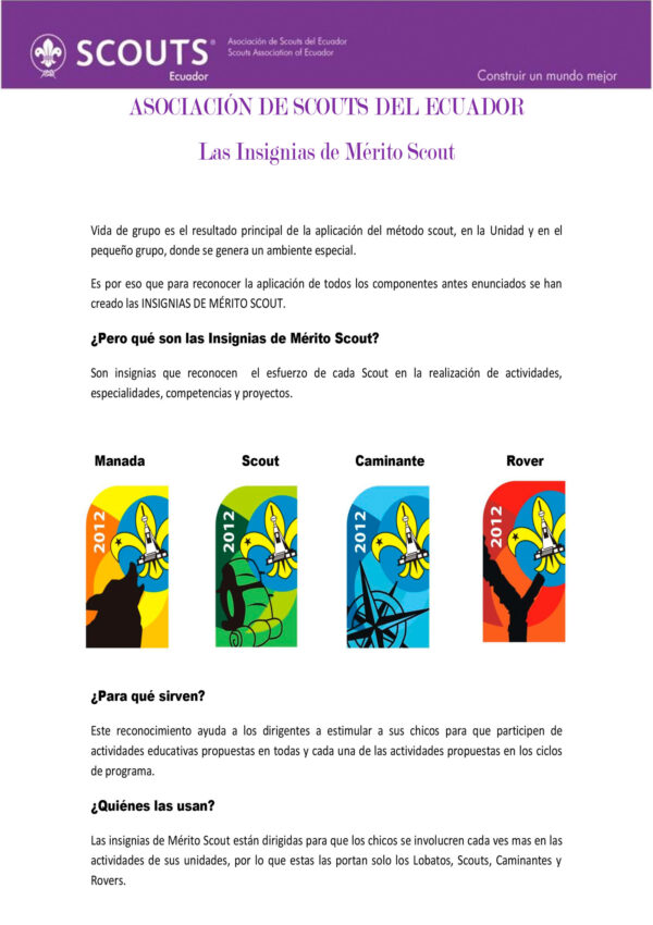 Insignias Merito Scout