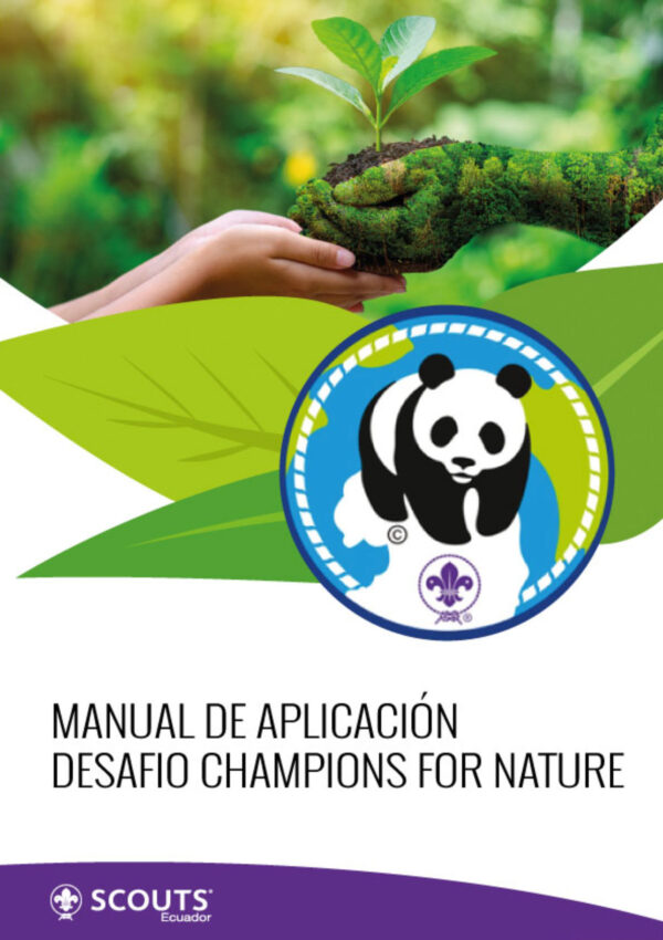 manual champions diagramado