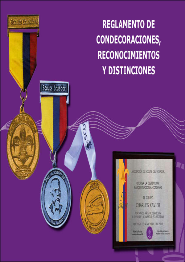 reglamento condecoraciones (1) (1)